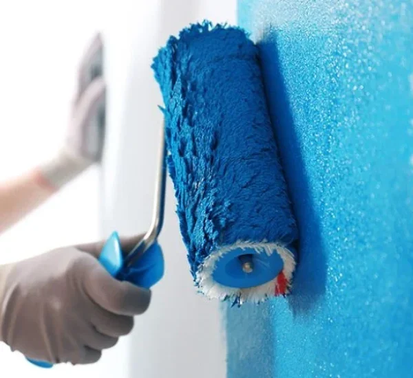 Expert Painters St. Mary’s